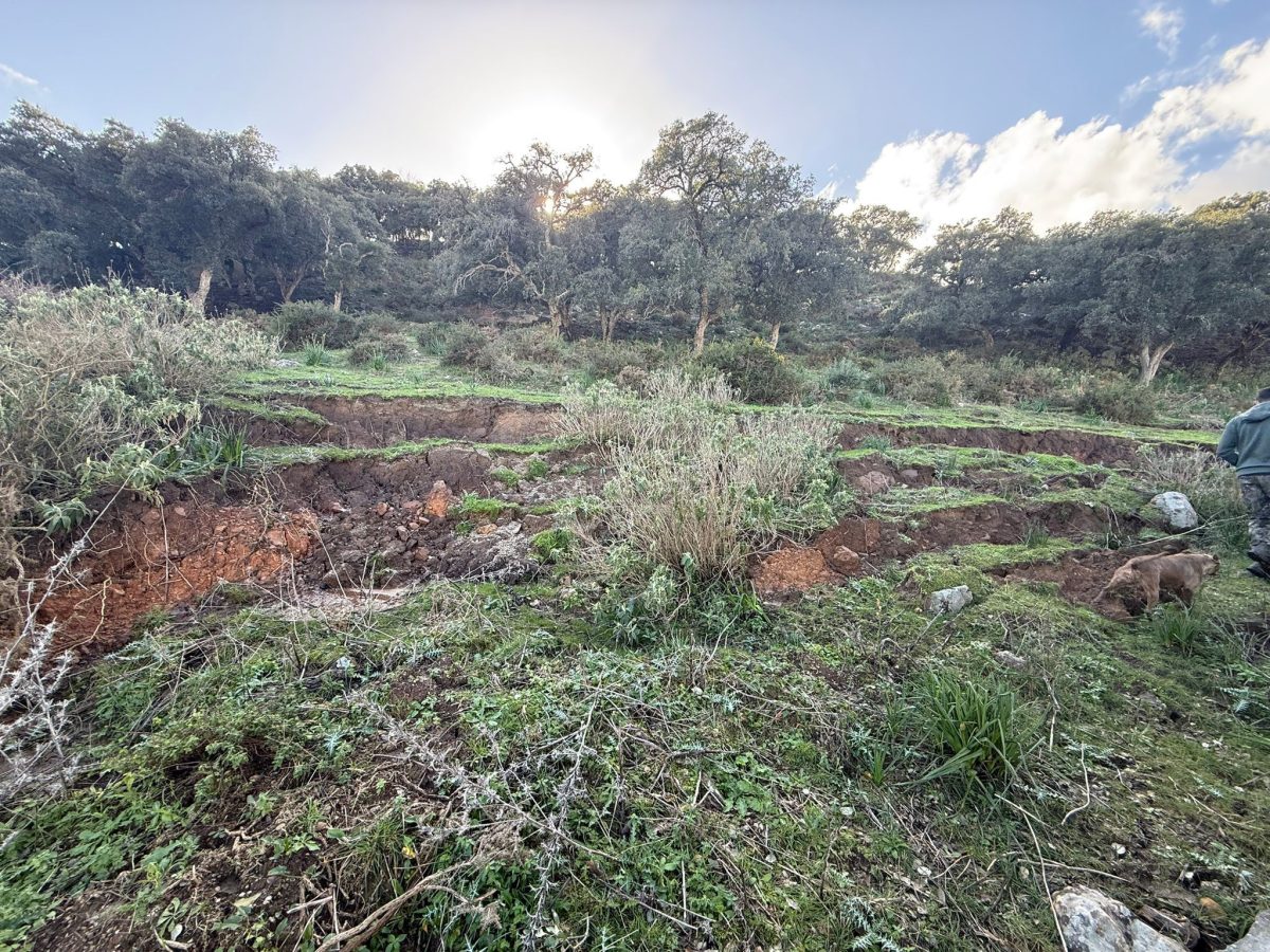 Desalojan 14 viviendas en la Chorrosquina, Algeciras, por un corrimiento de tierras