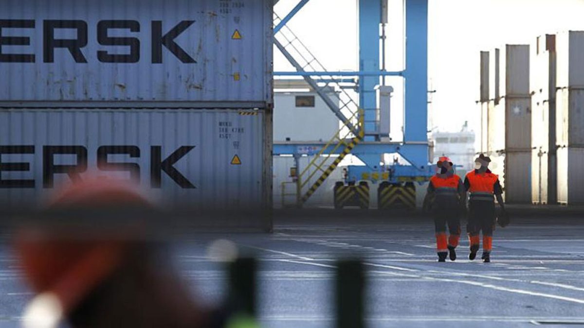 estibadores puerto algeciras - La presunta estafa de la estiba de Algeciras podría tener el doble de afectados de los que denunciaron La presunta estafa de la estiba de Algeciras podría tener el doble de afectados de los que denunciaron